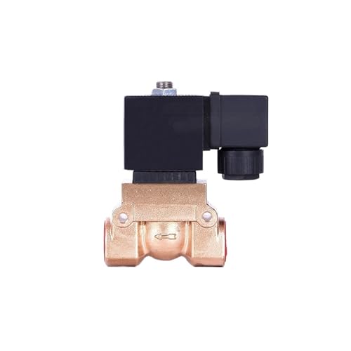 Zweiwege-Hochdruck-Magnetventil Gas 24 V 12 V 1-1/4 Zoll 32 50 bar normalerweise geschlossen(BSP_220V) von HLVDLSNI