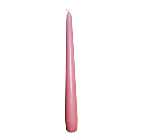 Tafelkerzen B-Ware Stabkerze Kerze Alt Rosa Spitzkerzen getaucht altrosa 25cm Dekokerzen 12x / 25x / 50x / 100x Kerzen (25) von HMH