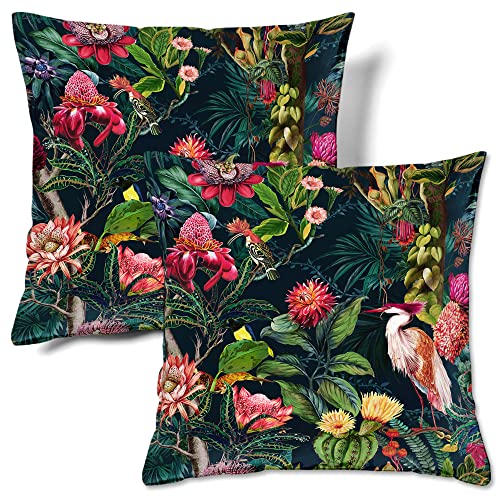 HMS Happy Memories Samt-Kissenbezüge, quadratisch, dekorativer Überwurf-Kissenbezug, 45 x 45 cm, 2er-Set für Couch, Sofa, Bett, Wohnzimmer, Schlafzimmer (Vogel, tropischer grüner Garten) von HMS Happy Memories