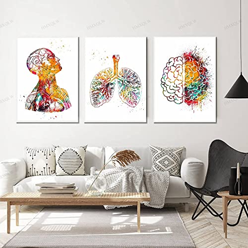 HMXQLW Abstrakt Medizin Anatomie Wandbilder Mensch Organe Herz Gehirn Aquarell Bilder kunstdrucke Klinik Deko,Leinwandbilder Poster und Drucke Wandkunst Rahmenlos (3X60x80cm,2) von HMXQLW