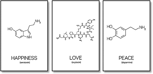 HMXQLW Chemie Molekül Frieden Liebe Glück Wissenschaft Bildung Chemie Labor Dekor Leinwand Bild Bilder Wohnzimmer Deko, Leinwand Bilder Poster und Drucke Wandkunst Malerei Rahmenlos (3X50X70CM) von HMXQLW