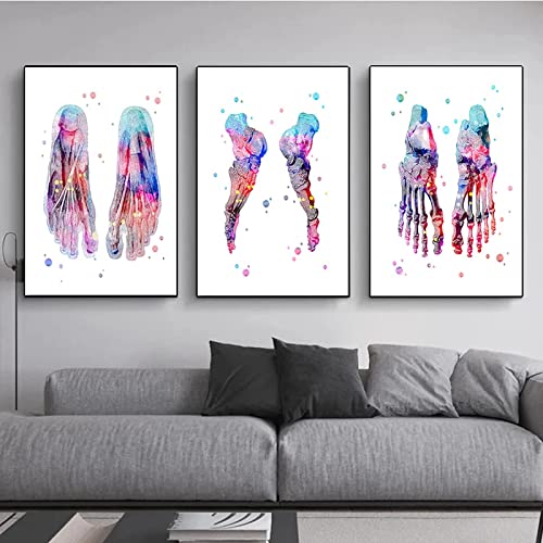 HMXQLW Leinwand Bild Fuß-Set Skelett Fußknochen Kunst Anatomie Medizin Leinwand Aquarell Bilder Klinik Deko, Leinwand Bilder Poster und Drucke Wandkunst Malerei Rahmenlos (3X20X30CM) von HMXQLW