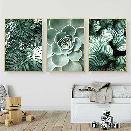 HMXQLW Leinwandbilder Set 3er Palmblatt Blätter Pflanze Grün Natur Bilder Wohnzimmer Schlafzimmer Deko Modern Kunstdrucke Malerei Bild Wanddekoration (Sukkulenten 1,60X90CM) von HMXQLW