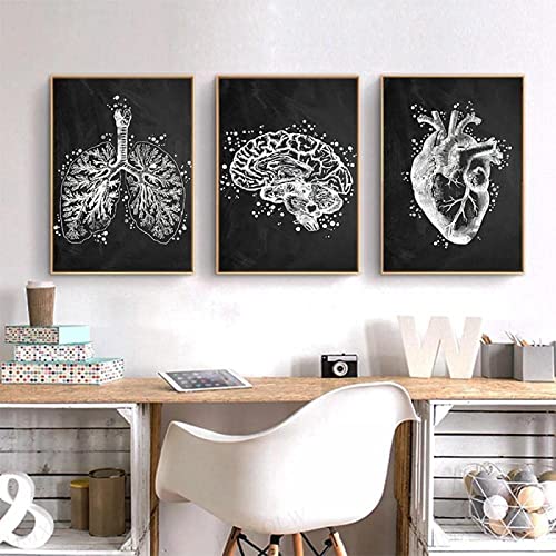 HMXQLW Menschliche Anatomie Vintage Wandbilder Schwarz Weiß Bilder kunstdrucke Arzt Büro Deko,Leinwandbilder Poster und Drucke Wandkunst Medizinische Rahmenlos (3X20x30cm) von HMXQLW