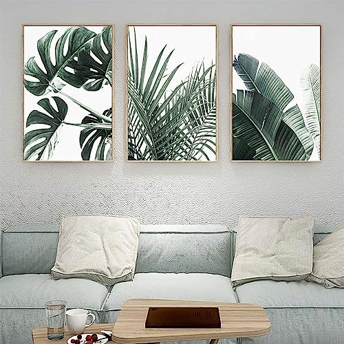 HMXQLW Palmblatt Poster Monstera Wandbilder Pflanze Modernes Bilder kunstdrucke Wohnzimmer Deko,Leinwandbilder Poster und Drucke Wandkunst Schlafzimmer Rahmenlos (3X50x70cm) von HMXQLW