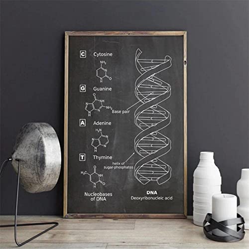 HMXQLW Schwarz Weiß DNA Modell Genetik Biologie Wandkunst Bild Labor Wand Studie Dekoration Bilder Leinwand Bilder Poster und Drucke Wandkunst Malerei Schlafzimmer Rahmenlos (30X40CM) von HMXQLW