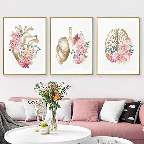 Leinwandbilder Blumen Anatomie Bilder, Herz Lunge Gehirn Medizinische Bild Krankenhaus Klinik Wandkunst Poster, Krankenhaus Klinik Wandbilder Malerei Dekoration 3er Kein Rahmen (Bilder 1,20X30CM) von HMXQLW