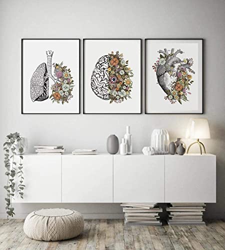 Leinwandbilder Blumen Anatomie Bilder, Herz Lunge Gehirn Medizinische Bild Krankenhaus Klinik Wandkunst Poster, Krankenhaus Klinik Wandbilder Malerei Dekoration 3er Kein Rahmen (Bilder 2,20X30CM) von HMXQLW