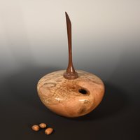 Roteichenholz Gedrechselte Hohle Form Mit Walnuss-Knaufen von HMarksStudio