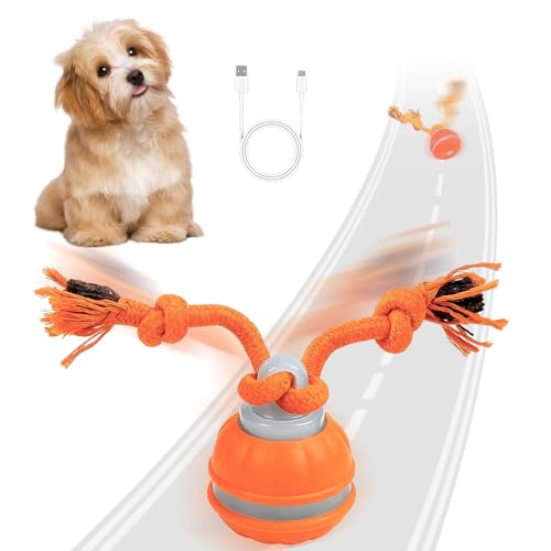 Interaktiver Spielball für Hunde, Interaktives Hundespielzeug, Hundeball Elektrisch Mit Kauschnüren, Hundespielzeug Ball Mit Vogelgeräusche, USB Aufladbar, Ideal für Kleine Hunde & Welpen (Orange) von HNCY