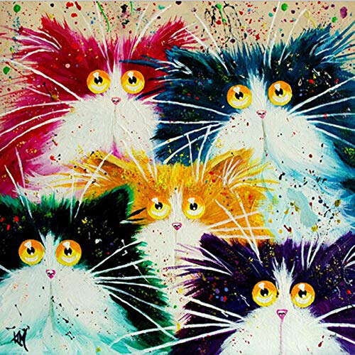 HNDXLHH Diamond Painting Set 30x40cm Abstrakte Katze 5d Diamant Painting Kinder Kristall Diamant Painting Bilder Anfänger Stickerei 5d Diamond Painting Kreuz Stitch für Home Wand Decor von HNDXLHH