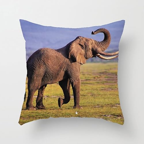 Kissenbezug 40x40 Elefant Sofakissen Baumwoll und Leinen Dekokissen Quadrat Kissenbezüge mit Reißverschluss Outdoor Kissen- für Wohnzimmer Auto Schlafzimmer Kissenbezug 40x40 Elefant Sofakissen Baumwoll und Leinen Dekokissen Quadrat Kissenbezüge mit Reißverschluss Outdoor Kissen- für Wohnzimmer Auto Schlafzimmer von HNDXLHH