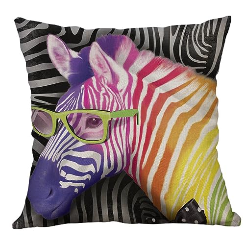 Kissenbezug 50x50 Bunte Zebra Tragen Gläser Sofakissen Baumwoll und Leinen Dekokissen Quadrat Kissenbezüge mit Reißverschluss Outdoor Kissen- für Wohnzimmer Auto Schlafzimmer von HNDXLHH