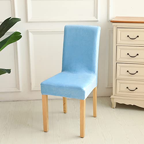 Stuhlhussen 6er Set Hellblau Stuhlbezug Universal Stuhlhusse Stretch Abnehmbare Waschbar Hussen für Stühle Sehr Pflegeleicht und Langlebig Stuhlüberzug Moderne Elastic Beschützer Stuhlhussen 6er Set Hellblau Stuhlbezug Universal Stuhlhusse Stretch Abnehmbare Waschbar Hussen für Stühle Sehr Pflegeleicht und Langlebig Stuhlüberzug Moderne Elastic Beschützer von HNDXLHH
