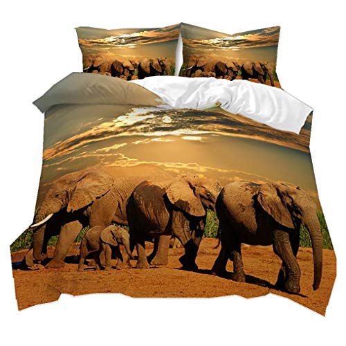 HNHDDZ 3D Tier Elefant Afrika Wiese Landschaft Drucken Bettwäsche-Set für Kinder Bettbezug Junge Mädchen Jugendliche Weich Atmungsaktiv, Mit Kissenbezug 80x80 (Elefant 4, 200x200 cm) von HNHDDZ