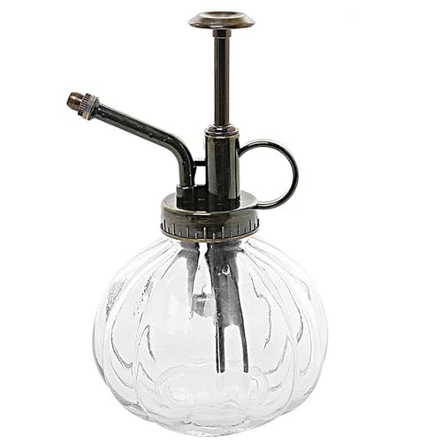 sprühflasche 1 Stück Glas-Bewässerungssprühflasche, Vintage-Glas-Kunststoff-Top-Pumpdose, Sprühflasche for Pflanzen, for Zimmerpflanzen(C Transparent) von HNULGVI