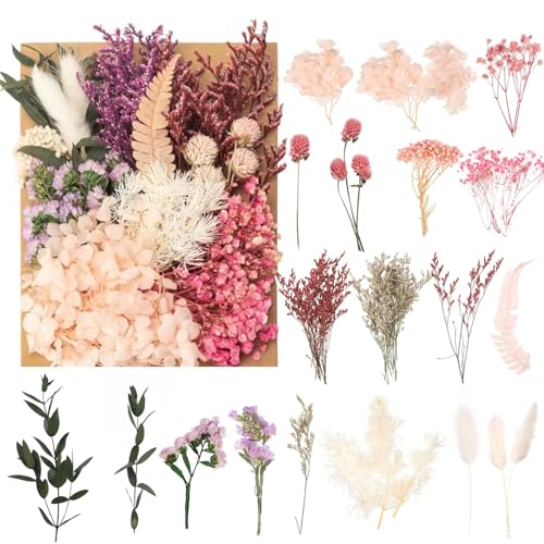 Getrocknete Blumen,Getrocknete Blumen Deko, Natürliche Getrocknete Blumen, für DIY Epoxidharz Kunsthandwerk,Kerzen Deko,Karten Deko,Scrapbooking,Hochzeitsdekoration Getrocknete Blumen,Getrocknete Blumen Deko, Natürliche Getrocknete Blumen, für DIY Epoxidharz Kunsthandwerk,Kerzen Deko,Karten Deko,Scrapbooking,Hochzeitsdekoration von HO-SFSM