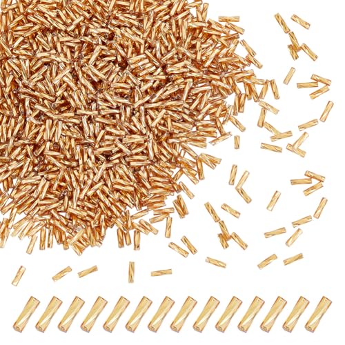 HOBBIESAY 2000 Stück Röhrenglasperlen 6x1.8mm Lange Röhre Lose Perlen Goldfarben Runde Rocailles Perlen Verbindungsperlen Für Die Herstellung von DIY Armbändern Ohrringen Und Schmuck Bohrung: 0.6mm HOBBIESAY 2000 Stück Röhrenglasperlen 6x1.8mm Lange Röhre Lose Perlen Goldfarben Runde Rocailles Perlen Verbindungsperlen Für Die Herstellung von DIY Armbändern Ohrringen Und Schmuck Bohrung: 0.6mm von HOBBIESAY