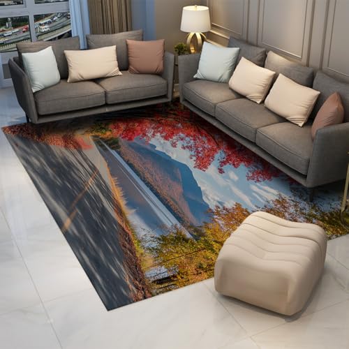 Fotografie Stil Bereich Teppich 60 x 120 cm Straßenrand Herbst Landschaft Niedrige Flor Fußmatten für Wohnzimmer Schlafzimmer Büro Eingang Waschbar Tragbar Fotografie Stil Bereich Teppich 60 x 120 cm Straßenrand Herbst Landschaft Niedrige Flor Fußmatten für Wohnzimmer Schlafzimmer Büro Eingang Waschbar Tragbar von HOBBOY