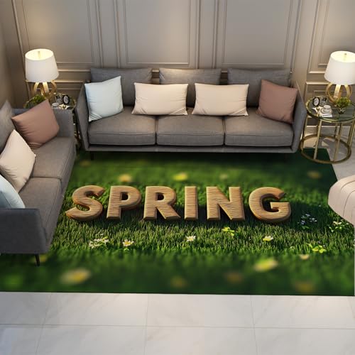 HOBBOY Erfrischende Natur-Thementeppiche Frühling Wiese Wildblumen Druck Boden Teppich für Wohnzimmer Küche Eingang rutschfeste dünne Türmatte 210 x 240 cm von HOBBOY
