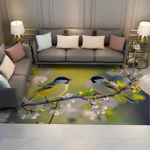HOBBOY Garten Thema Dünner Teppich Frühling Natur Landschaft Vögel auf Blüte Baum Druck Waschbare Teppiche für Wohnzimmer Schlafzimmer Terrasse 180 x 270 cm von HOBBOY