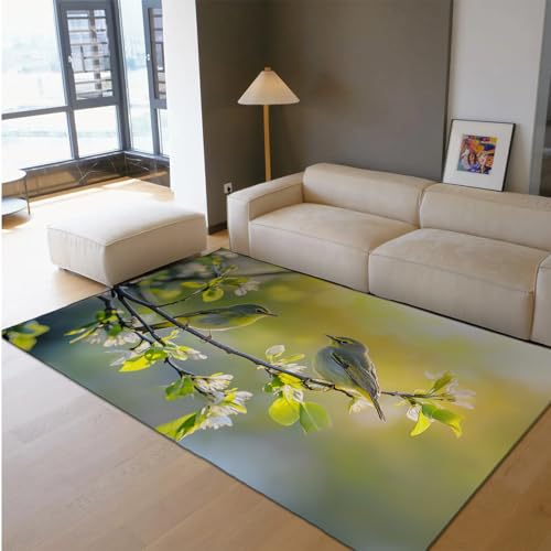 HOBBOY Leichter dünner Teppich Frühling Garten Landschaft Vögel auf Blüte Baum Druck waschbare Teppiche für Wohnzimmer Schlafzimmer Balkon 60 x 100 cm von HOBBOY