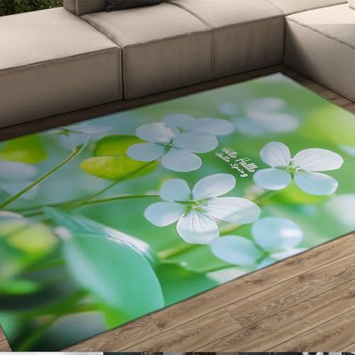 HOBBOY Moderner Frühling Blumen Bodenteppich Hallo Frühling Grün Pflanzen Thema Dünner Innenteppich waschbar tragbar für Wohnzimmer Schlafzimmer Terrasse 150 x 210 cm HOBBOY Moderner Frühling Blumen Bodenteppich Hallo Frühling Grün Pflanzen Thema Dünner Innenteppich waschbar tragbar für Wohnzimmer Schlafzimmer Terrasse 150 x 210 cm von HOBBOY