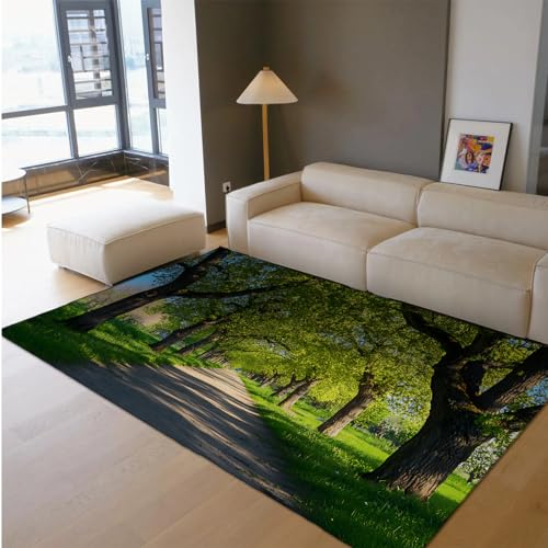 HOBBOY Park Landschaft Teppich Sonnenaufgang Wald Grün Bäume Pfad Muster Waschbar rutschfest Dünne Teppiche für Schlafzimmer Wohnzimmer Eingangsbereich Schlafsaal 80 x 120 cm von HOBBOY