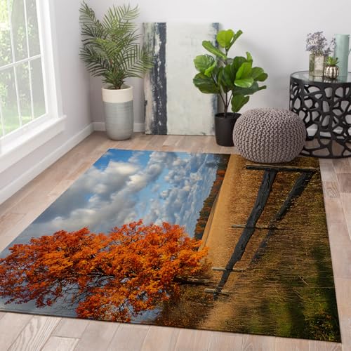 HOBBOY Rustikale Herbstbereich Teppiche Orange Baum und Zaun Print Teppich waschbar weich rutschfest dünn für Wohnzimmer Schlafzimmer Dekor 50 x 80 cm von HOBBOY