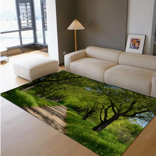 HOBBOY Wildblumen Dünne Fläche Teppich Wald Weg Grüne Wiese Waschbare rutschfeste Teppiche für Wohnzimmer Schlafzimmer Bibliothek Flur Terrasse 80 x 150 cm von HOBBOY
