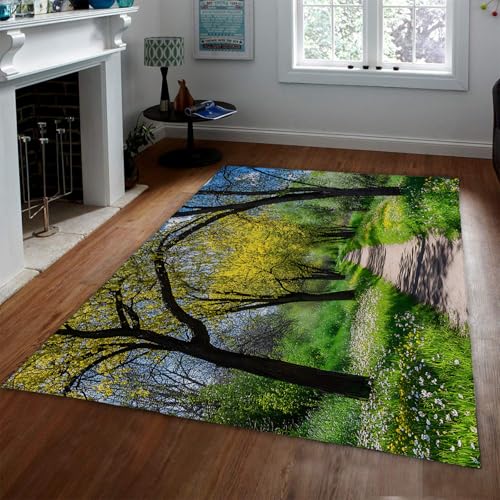 HOBBOY Wildblumen Teppich Sunshine Wald Grün Bäume Pfad Muster Waschbar rutschfest Dünne Teppiche für Schlafzimmer Wohnzimmer Eingangsbereich Schlafsaal 160 x 230 cm von HOBBOY