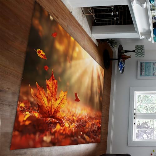 Herbst Landschaft Bereich Teppiche Sonnenuntergang Sonnenschein Gefallenes Blatt Muster Dünner Boden Teppich für Wohnzimmer Schlafzimmer Küche Eingang 210 x 240 cm Herbst Landschaft Bereich Teppiche Sonnenuntergang Sonnenschein Gefallenes Blatt Muster Dünner Boden Teppich für Wohnzimmer Schlafzimmer Küche Eingang 210 x 240 cm von HOBBOY