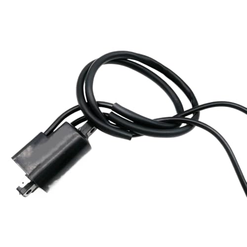 12V Motorradzündungsspulenzündungssystem Einheit kompatibel mit GSF400 GSF600 GSF1200 Modelle 1991 bis 2004 Jahre Reichweite 12V Motorradzündungsspulenzündungssystem Einheit kompatibel mit GSF400 GSF600 GSF1200 Modelle 1991 bis 2004 Jahre Reichweite von HOBXMFY