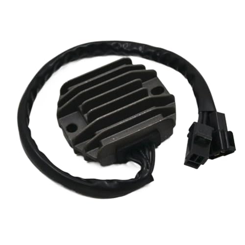 GS500 GS500F Regler -Gleichrichter Statorspulen -Dichtungsabdeckung kompatibel mit 2004 2005 2006 2007 2008 2009 Modelle passt zu GS 500 500F Motorrad -Elektro -Teilen(D) von HOBXMFY