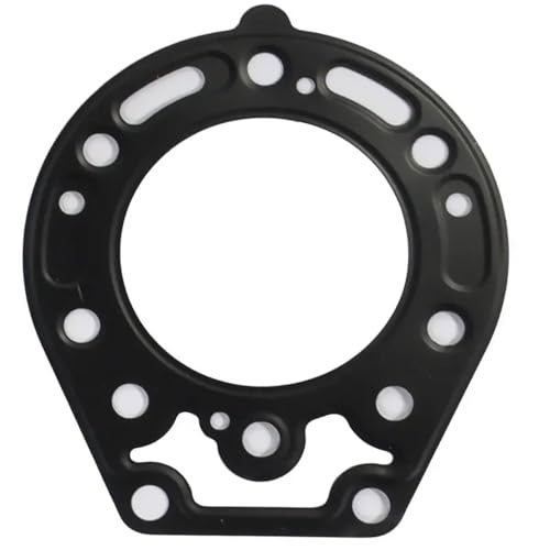 Motoröl-Abflusssteckset Kompatibel mit Motorradintervallwartung kompatibel mit KDX200 KDX 200 Modellen 1995-2006(Headgasket) von HOBXMFY