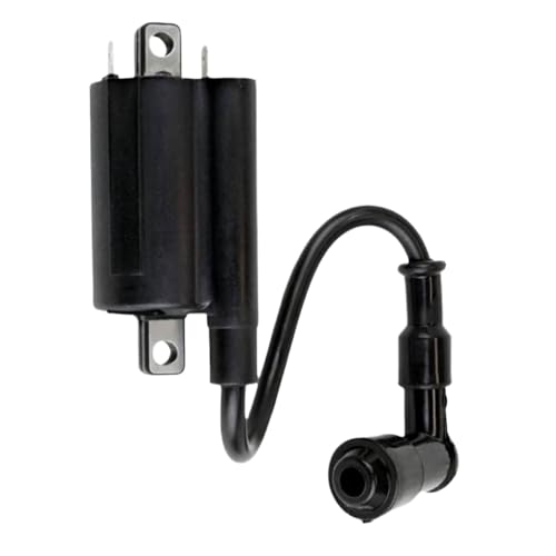 Zündspule Zündsystemeinheit kompatibel mit AM120732 FD440V FD501D Motorradleistungsteile Zündspule Zündsystemeinheit kompatibel mit AM120732 FD440V FD501D Motorradleistungsteile von HOBXMFY