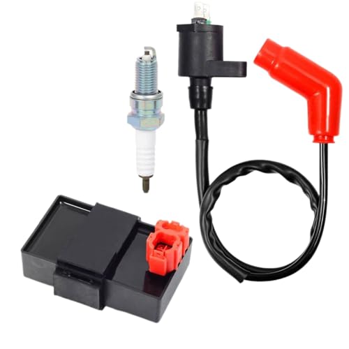 Zündspule und Zünderbox kompatibel mit 300 TRX300 2x4 TRX300FW 4x4 1994-1997 Modelle Ersatz Kompatibel mit OEM 30410-HM5-505 von HOBXMFY