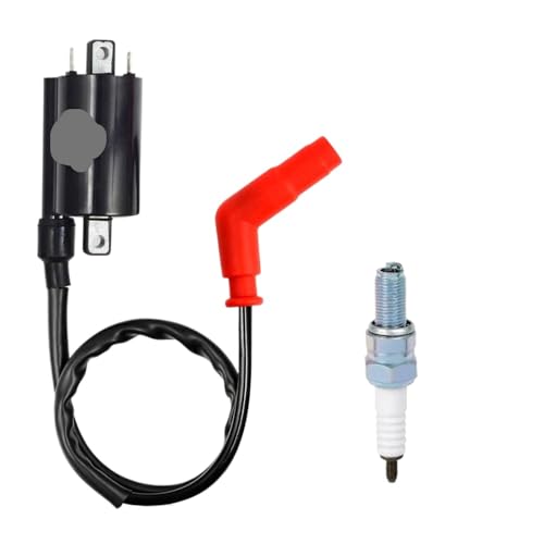 Zündspule und Zündkerze kompatibel mit 700 700R YFM 700 700R 2006-2018 4DN-82320-00-00 2UJ-82310-00-00 Passt verschiedene Modelle an Zündspule und Zündkerze kompatibel mit 700 700R YFM 700 700R 2006-2018 4DN-82320-00-00 2UJ-82310-00-00 Passt verschiedene Modelle an von HOBXMFY