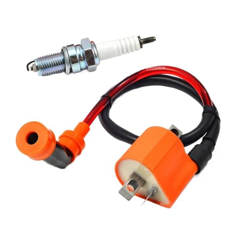 Zündspulen- und Zündkerzen-Set kompatibel mit Warrior 350 1997-2001 348CC-Modelle passt zu 3GD-85540-40-00 von HOBXMFY