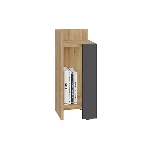 HOCUS PICUS | Elos Holz Nachttisch | Nachtschrank, Beisteltisch, Bett Tisch, Nachttische für Schlafzimmer, Wohnzimmer | 18 mm Dickes Holz | 25 x 60 x 27 cm | Eiche- Anthrazit | Links von HOCUS PICUS