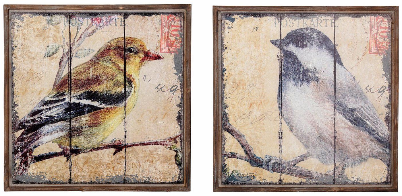 HOFMANN LIVING AND MORE Bild Vogel, Vögel (Set, 2 St), Tiermotiv (Set, 2 St) von HOFMANN LIVING AND MORE
