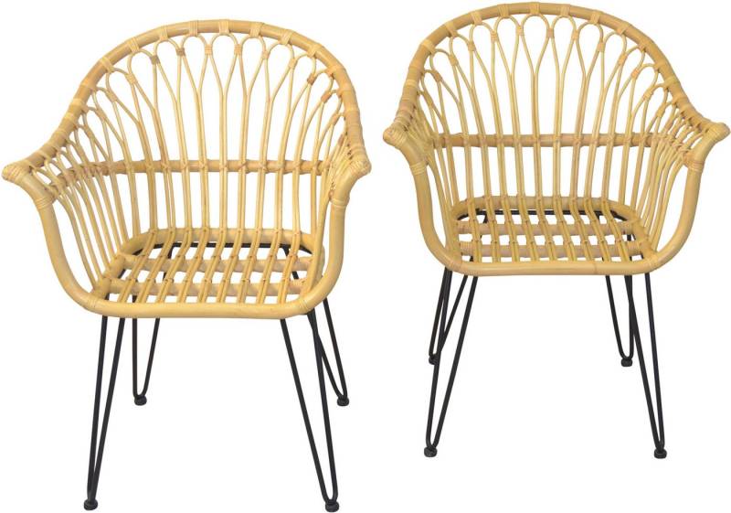 HOFMANN LIVING AND MORE Esszimmersessel Rattan (Spar-Set, 2er-Set), Handgeflochten von HOFMANN LIVING AND MORE