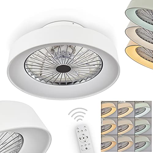 LED Deckenventilator Moli, moderne Deckenlampe mit Ventilator aus Kunststoff in Weiß, mit Fernbedienung dimmbar, mit Timer und Nachtlicht, 1 x 40 Watt, 2200 Lumen, 3000-6500 Kelvin von HOFSTEIN