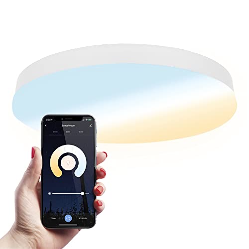 HOFTRONIC - Lumi - Smart Home Deckenleuchte Ø30 cm - IP54 Badezimmer, außen und innen - WiFi + Bluetooth - White Ambience 2700K-6500K - Google Home, Amazon Alexa und Siri von HOFTRONIC