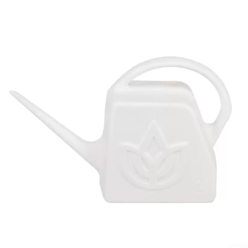 1 * 2L Wasserkanne Wasserkanne 2L Wasserkanne Kleiner Innengarten von HOHOVYVY