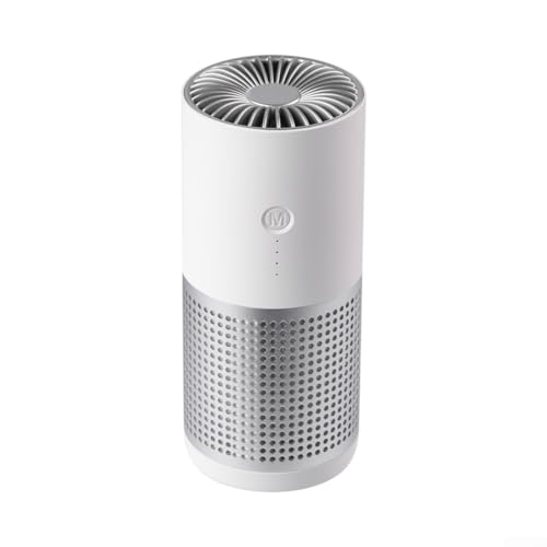 1 X Reiniger Effizienter USB -Auto Luft Frisch Purifikator USB -Auto Luftreiniger Frischreiniger Gerüche Entfernen Staub (white) von HOHOVYVY