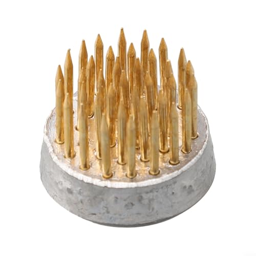 For Ikebana Kenzan Flower Base Holder, Spiky Frog Arranging Tool, Small Size (23mm) von HOHOVYVY