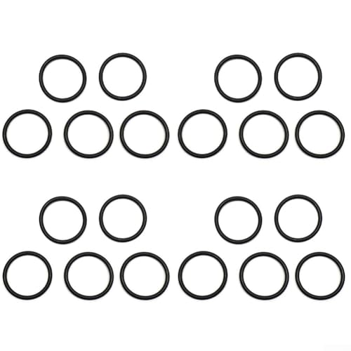 HOHOVYVY O-Ring Dichtungsring Für Intex Filterpumpe 1-1/4 Zoll Anschluss Poolzubehör Gummidichtung(20pcs) von HOHOVYVY