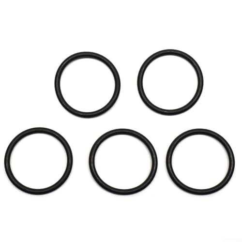 HOHOVYVY O-Ring Dichtungsring Für Intex Filterpumpe 1-1/4 Zoll Anschluss Poolzubehör Gummidichtung(5pcs) von HOHOVYVY