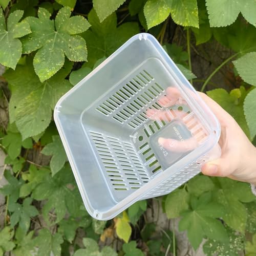 Quadratischer Orchideentopf aus Kunststoff mit atmungsaktiven Eigenschaften für verbessertes Wachstum und Pflege (15 cm mit Tablett) von HOHOVYVY